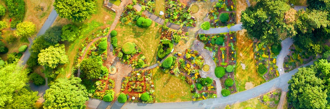 Landscaping Design and Construction